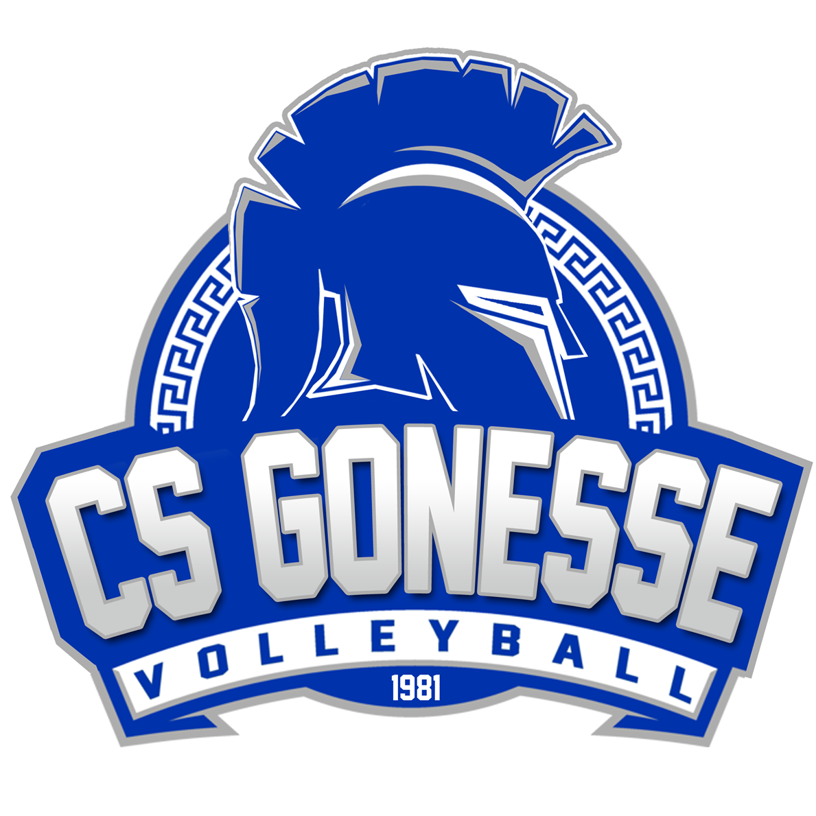 Volley-ball et prévention du harcèlement scolaire